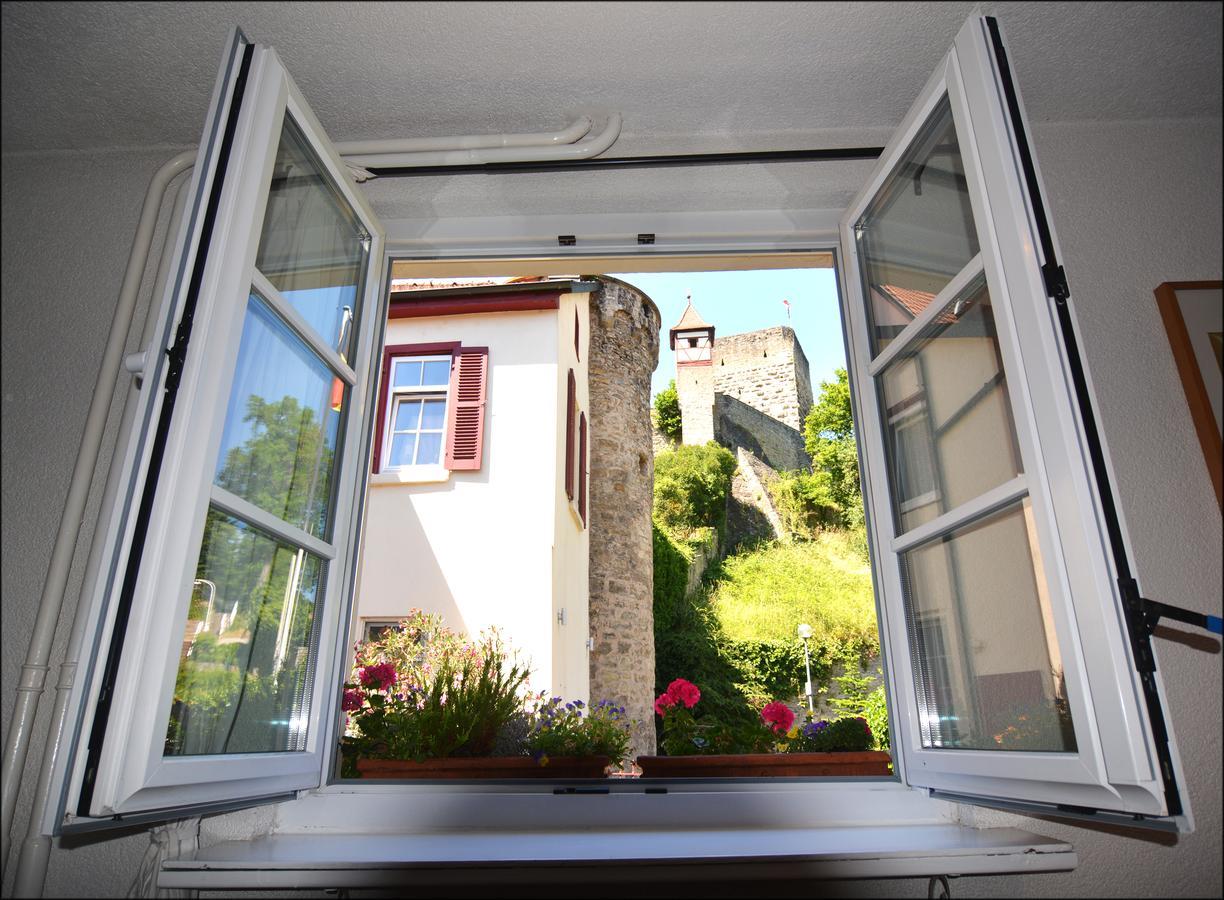 Hotel Herberge Zur Traube Bad Wimpfen Exterior photo